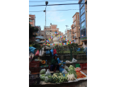 Kathmandu & Holi