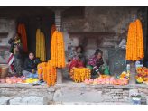 Kathmandu & Holi