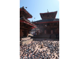 Kathmandu & Holi