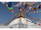 Kathmandu & Holi