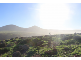 Morocco 2018