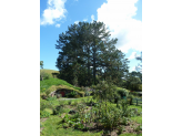 New Zealand - North Island