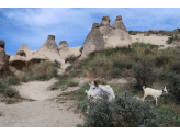 Capadocia Turkey