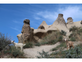 Capadocia Turkey